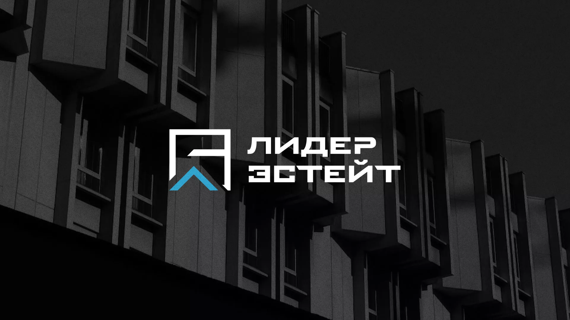 Разработка логотипа агентства недвижимости «Лидер Эстейт» в Мосальске